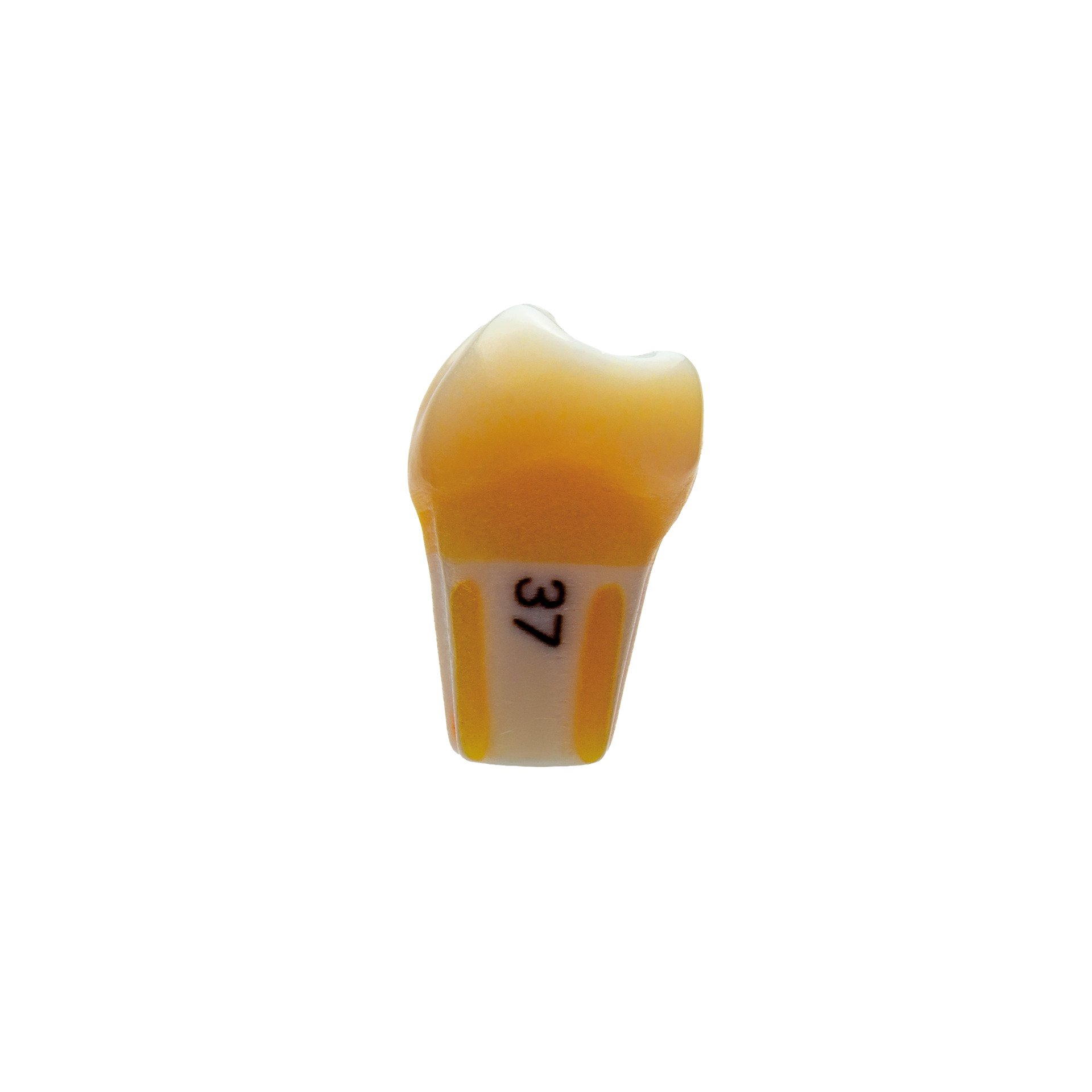 produkt 4d zahn p07 37 ana 4