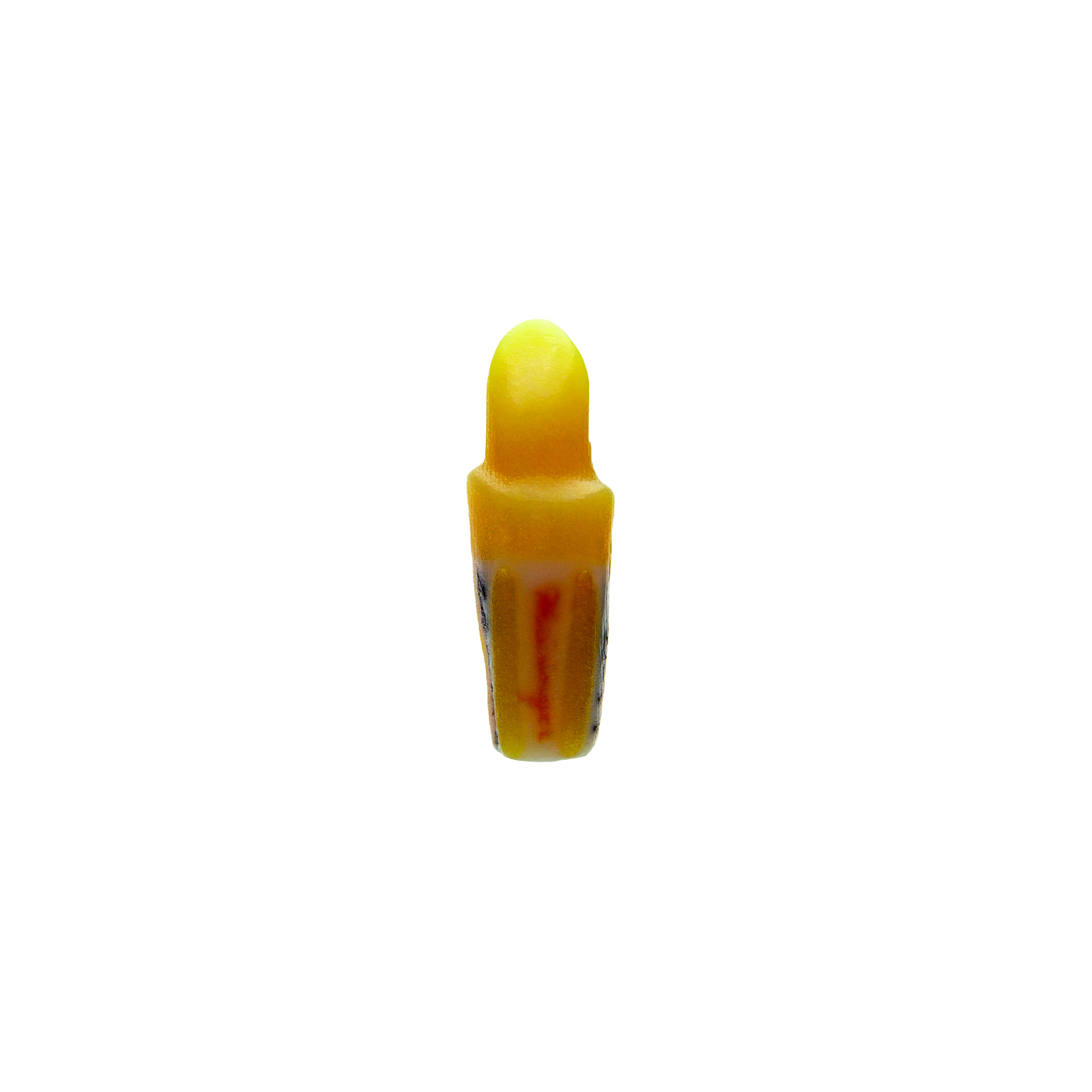 myteeth training tooth 44, with circumferential chamfer preparation ...