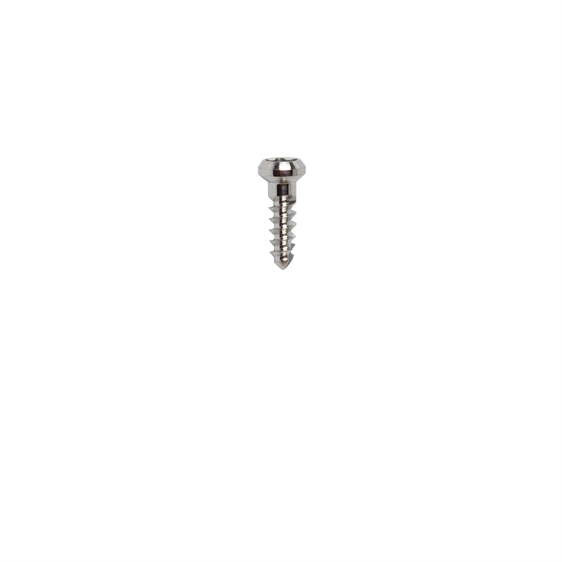 Micro Screw T Ø1.0 L 4.0, Innenfünfrund