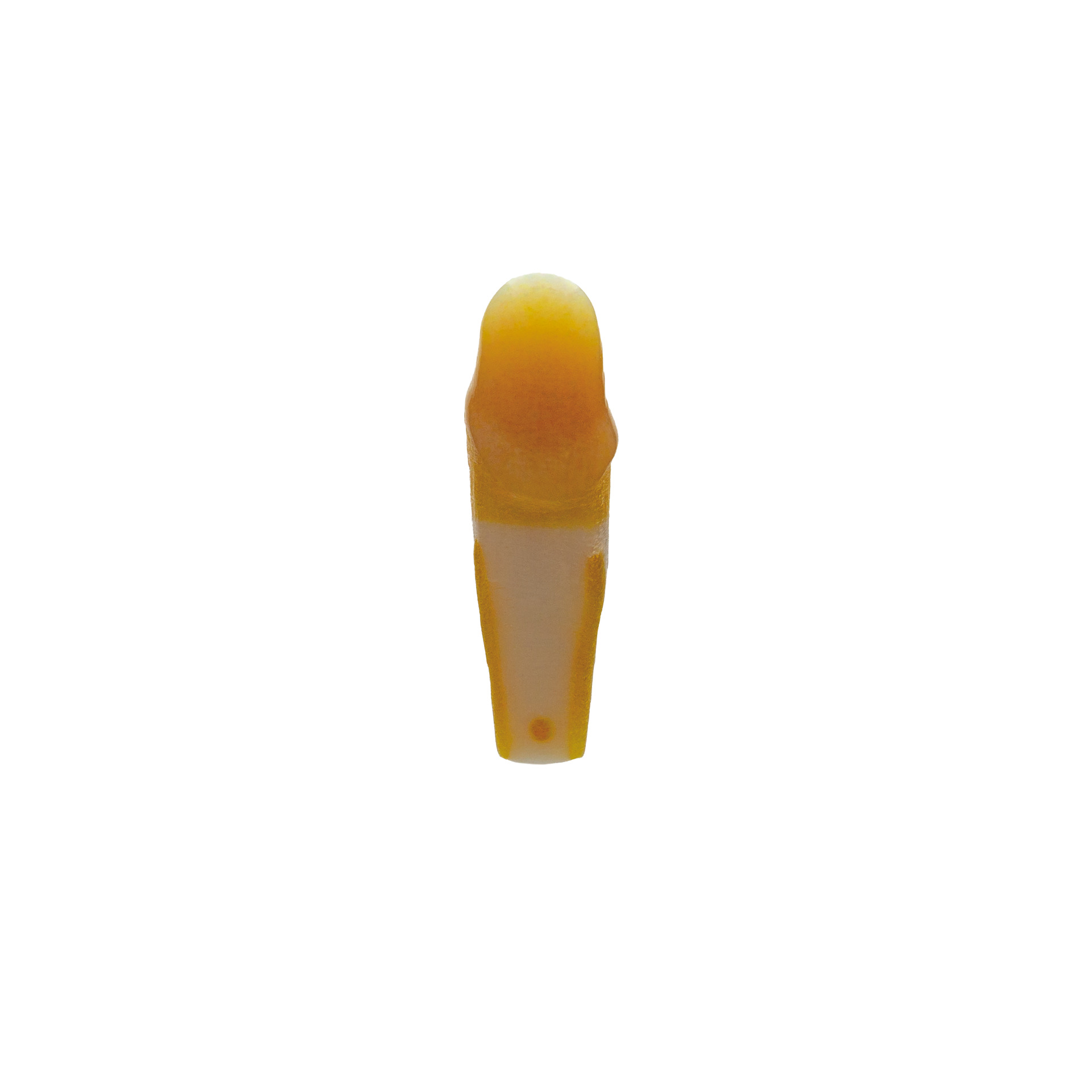 myteeth training tooth 14, with circumferential chamfer preparation