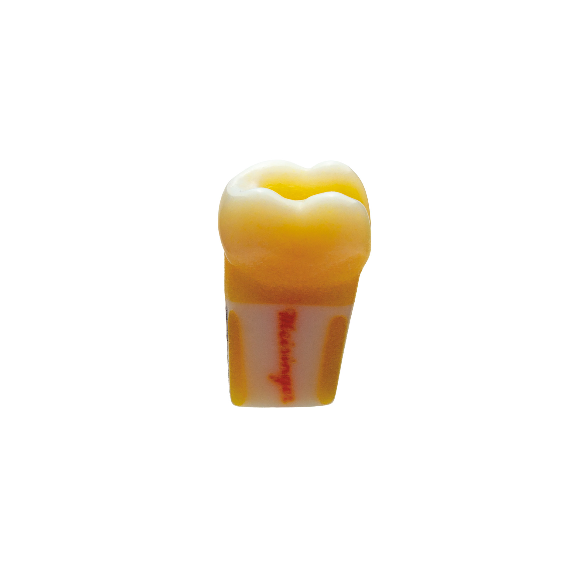 produkt 4d zahn p07 37 ana 4