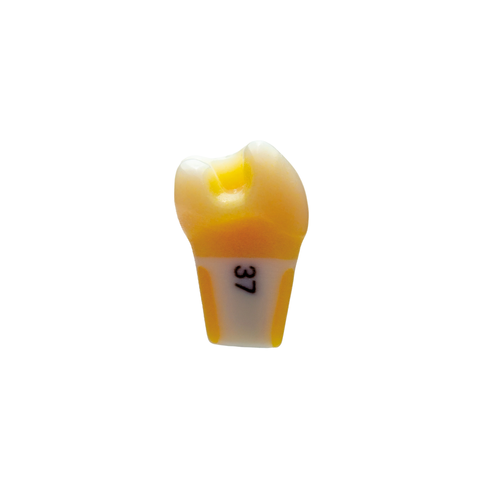 produkt 4d zahn p07 37 ana 4
