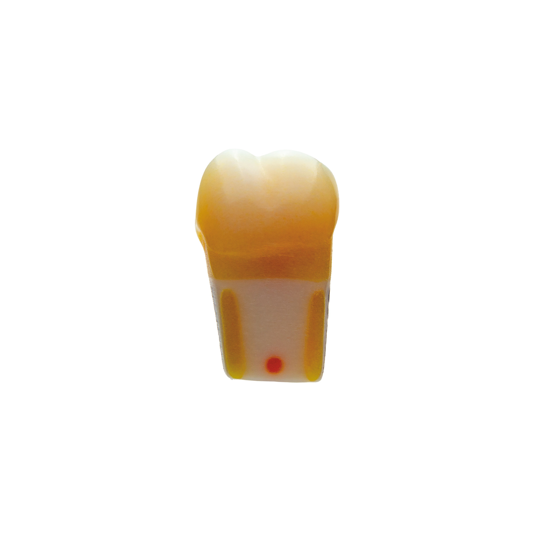 produkt 4d zahn p07 37 ana 4