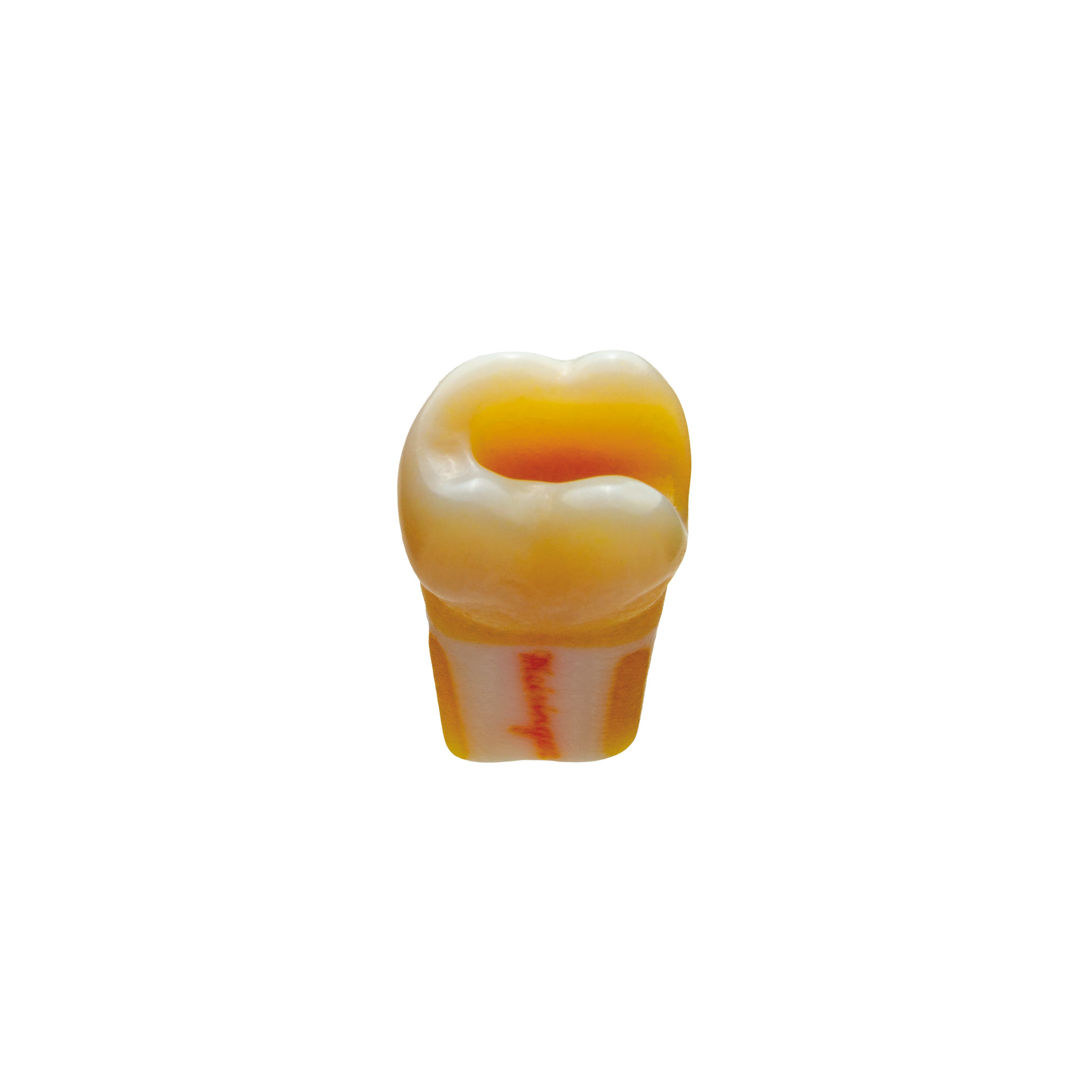 produkt 4d zahn p07 37 ana 4